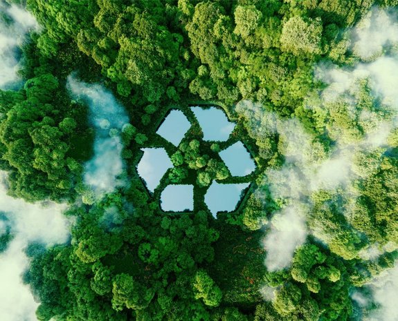 Wald mit Recyclingicon