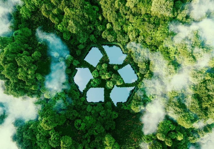Wald mit Recyclingicon